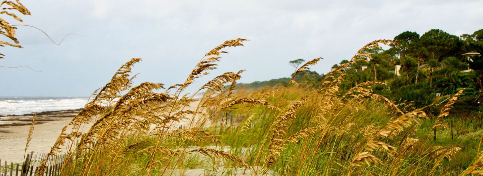 Explore Coastal History