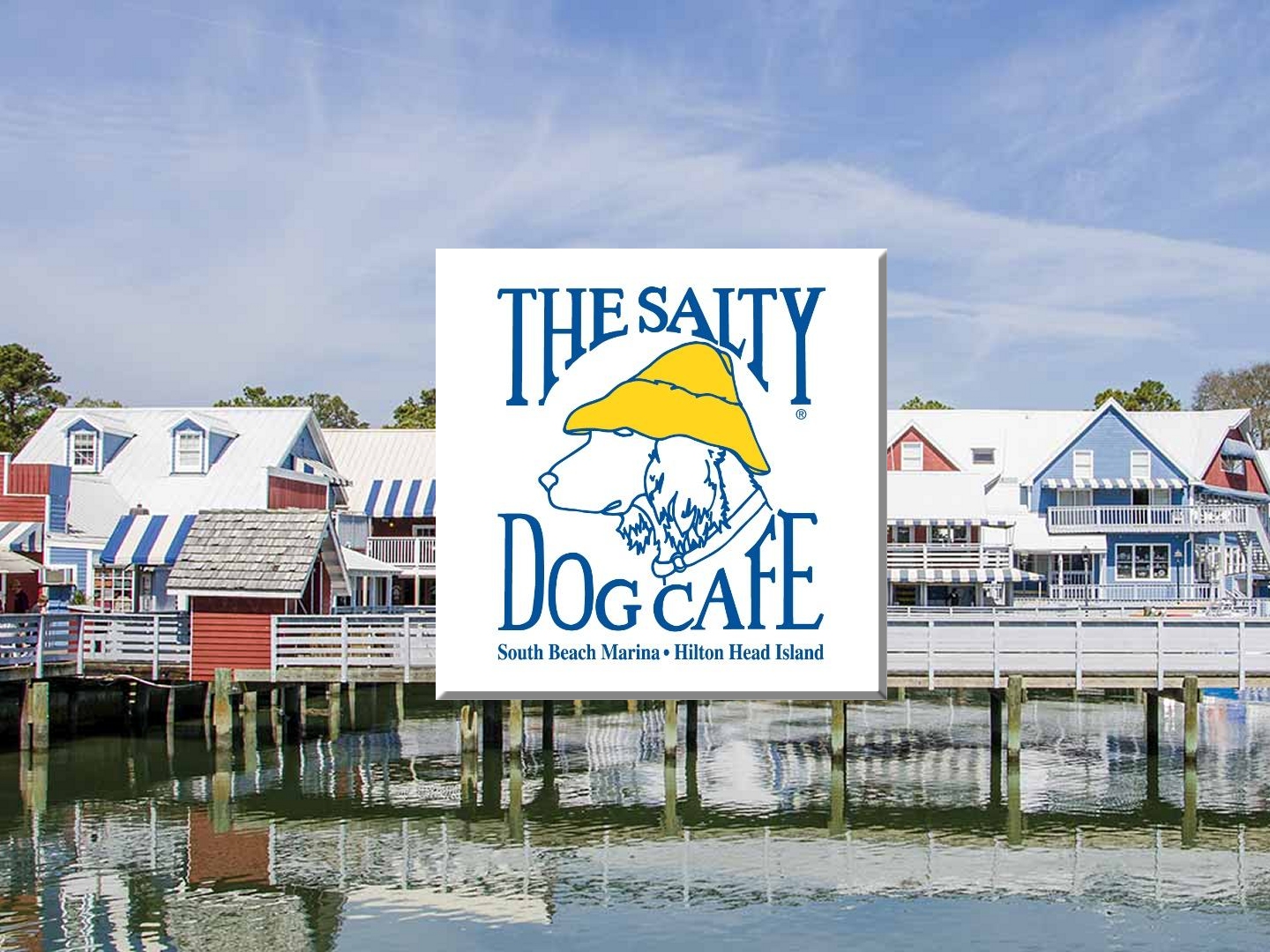 Salty Dog Cafe